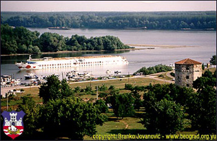 The Confluence of Sava and Danube