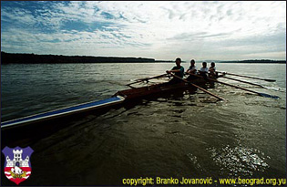 The rowers on the River Sava